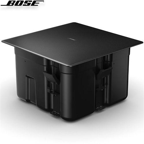 Loa Bose EdgeMax EM90 12